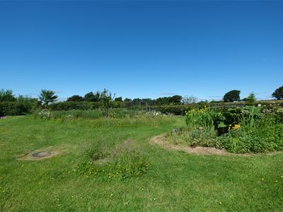 Picture 38